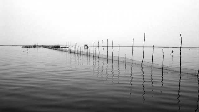 Gallery 03